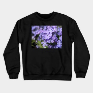 Wild Blue Phlox Crewneck Sweatshirt